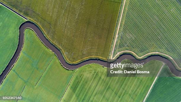 natural curves in a cultivated landscape seen from the sky - dutch culture stock pictures, royalty-free photos & images