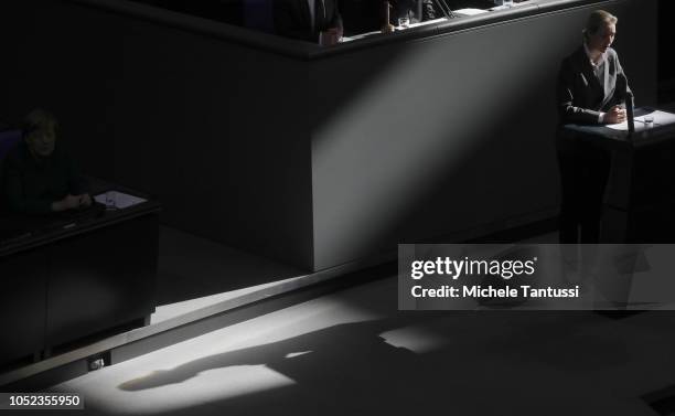 Far right Party AFD Leader Alice Weidel speaks as German Chancellor Angela Merkel listens after a government declaration at the Bundestag prior to...