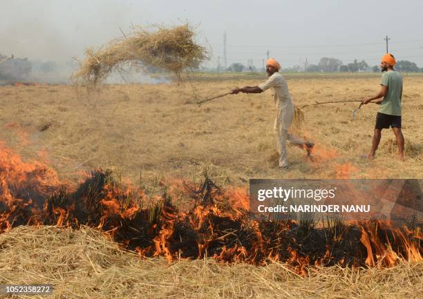 Indian farmers burn rice straw after harvesting the paddy crops in the fields on the outskirts of Amritsar on October 17, 2018. - Smog levels spike...