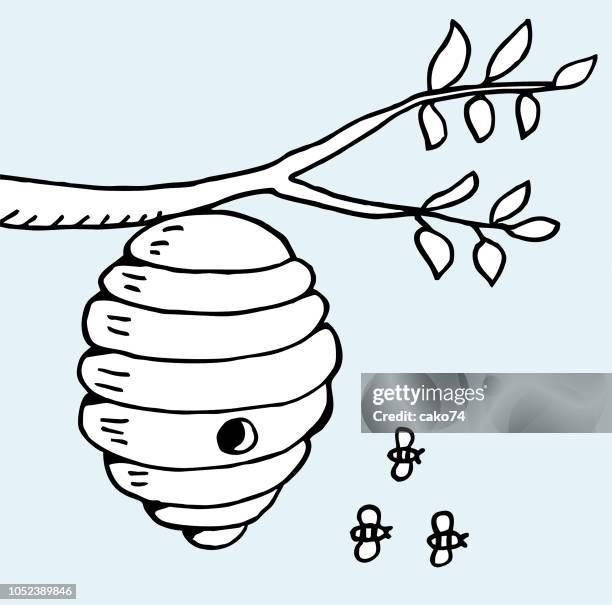 stockillustraties, clipart, cartoons en iconen met bijenkorf en tree branch - bee stock illustrations