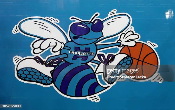 Detailed view of the original logo of the Charlotte Hornets on display on the court ahead of opening night against the Milwaukee Bucks at Spectrum...