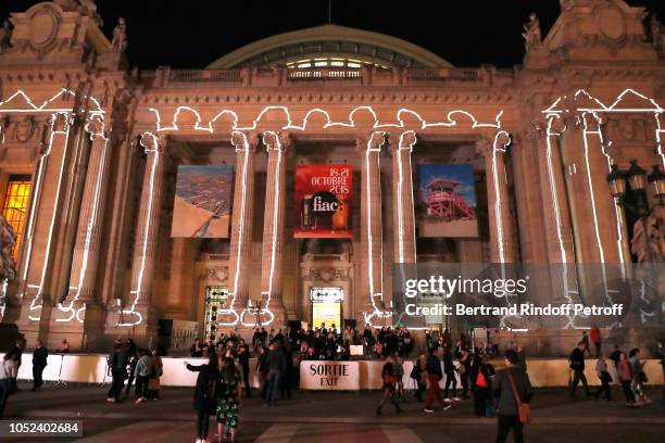 Illustration view of the Grand Palais during the FIAC 2018 - International Contemporary Art Fair : Press Preview at Grand Palais on October 17, 2018...