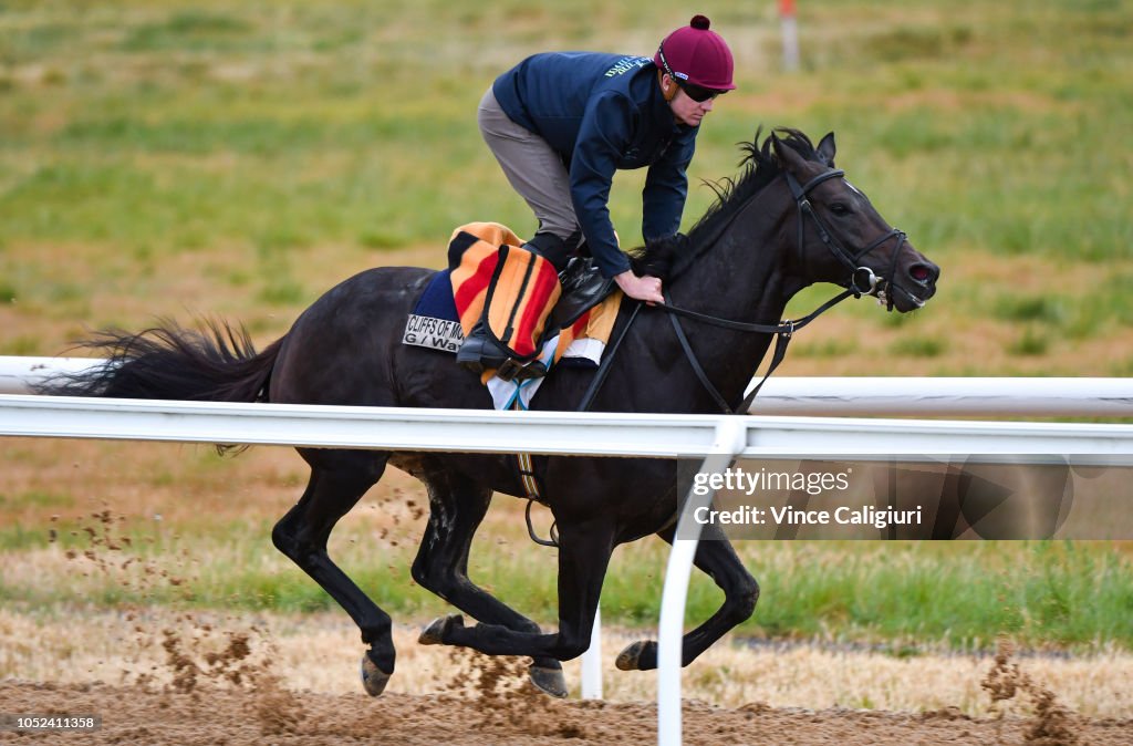 Werribee Trackwork Session