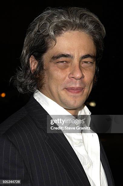 Benicio Del Toro during "21 Grams" Los Angeles Premiere at Academy Theatre in Beverly Hills, California, United States.