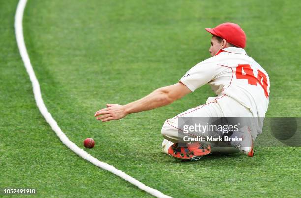 Nick Winter of the Redbacks slides into fence unsuccesfully trying to save a boundry during the Sheffield Shield match between South Australia and...