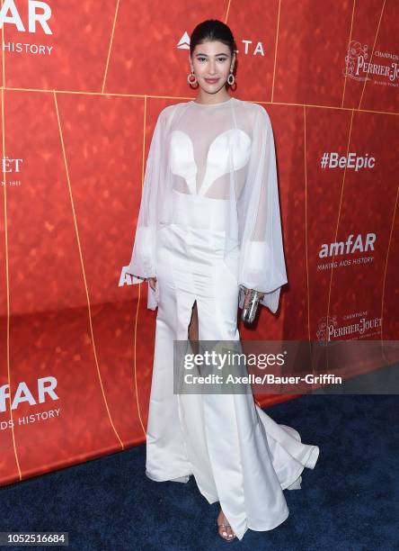 Abla Sofy attends the amfAR Gala Los Angeles 2018 at Wallis Annenberg Center for the Performing Arts on October 18, 2018 in Beverly Hills, California.