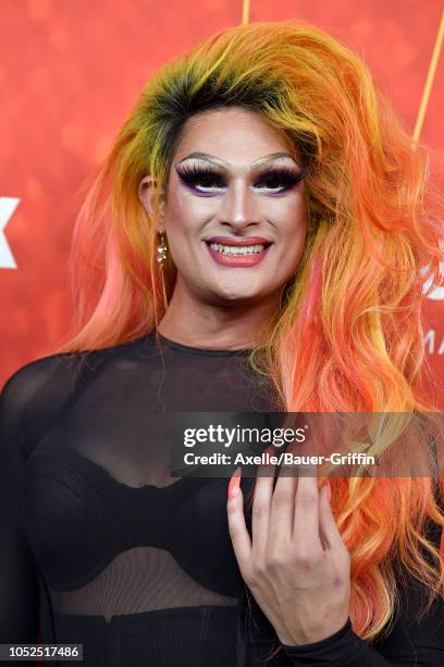 Rhea Litre attends the amfAR Gala Los Angeles 2018 at Wallis Annenberg Center for the Performing Arts on October 18, 2018 in Beverly Hills,...