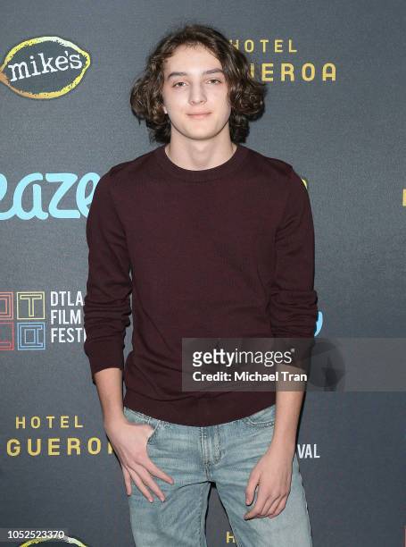 Toby Nichols attends the 2018 Downtown Los Angeles Film Festival - "All Creatures Here Below" "Original Sin" And Perception" Press line held at Regal...