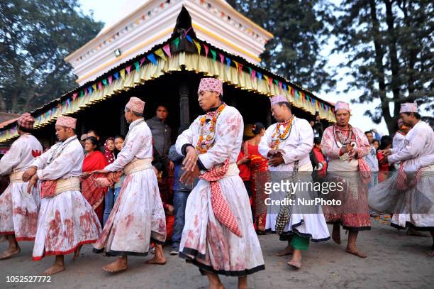 Nepalese Hindu priests perform a ritual dance during the tenth day of Dashain Durga Puja Festival in Bramayani Temple, Bhaktapur, Nepal on Friday,...