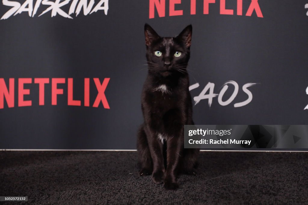 Netflix Original Series "Chilling Adventures of Sabrina" Red Carpet And Premiere Event