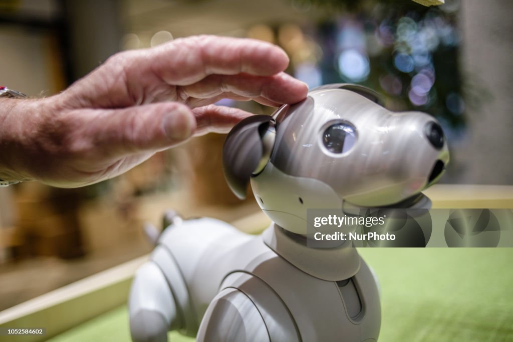 Service Robots In Tokyo