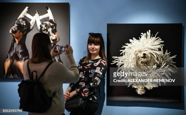 Woman poses in front of the photographs 'Cosmetic Surgery' and 'Fying Mop' by Tim Flach, a British photographer who specialises in studio photography...