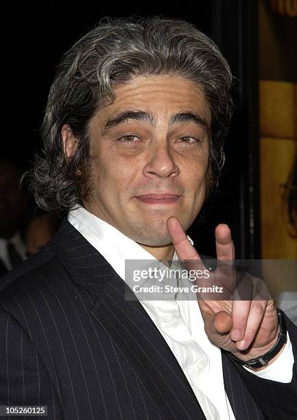 Benicio Del Toro during "21 Grams" Los Angeles Premiere at Academy Theatre in Beverly Hills, California, United States.