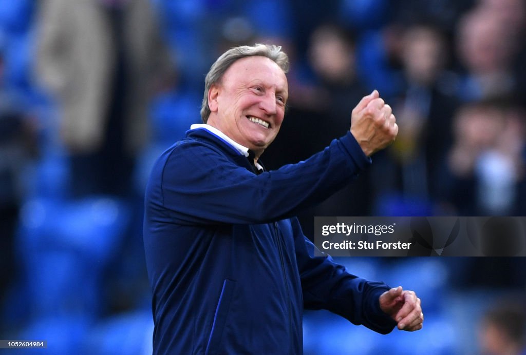 Cardiff City v Fulham FC - Premier League