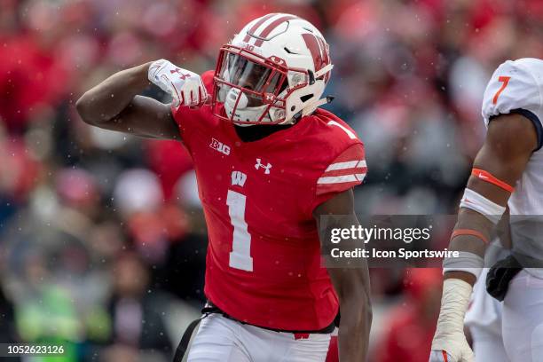 Wisconsin Badgers wide receiver Aron Cruickshank celebreeats after socrine g a touchdown during an college football game between the Illinois...