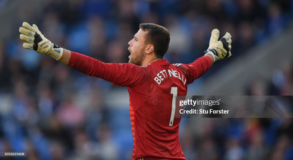 Cardiff City v Fulham FC - Premier League