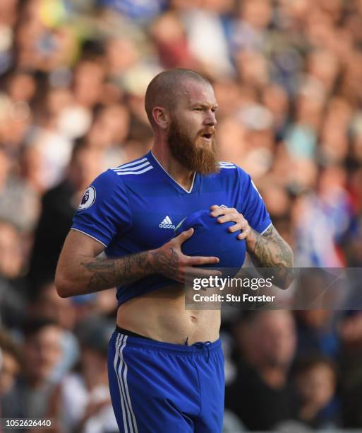 Cardiff player Aron Gunnarsson prepares to take a long throw during the Premier League match between Cardiff City and Fulham FC at Cardiff City...