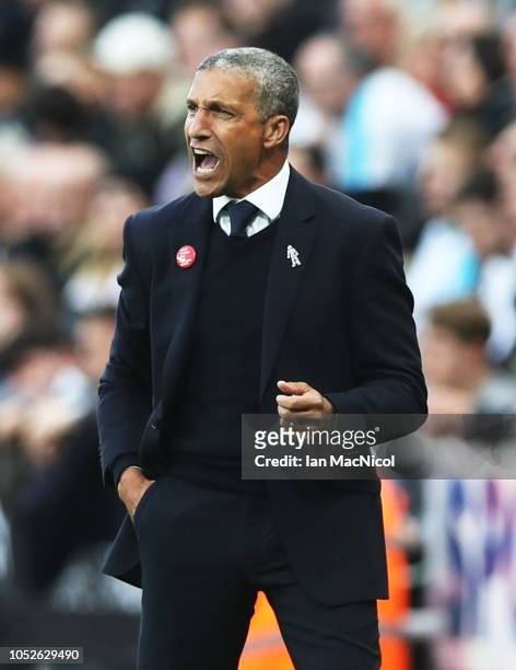 Brighton & Hove Albion manager Chris Hughton reacts during the Premier League match between Newcastle United and Brighton & Hove Albion at St. James...