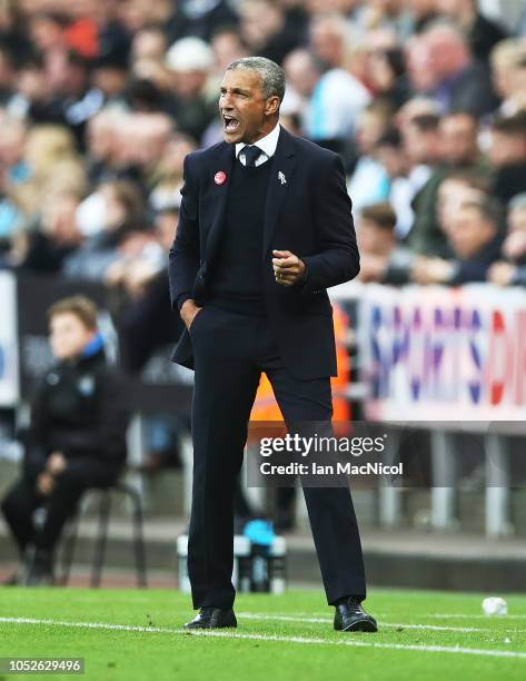 Brighton & Hove Albion manager Chris Hughton reacts during the Premier League match between Newcastle United and Brighton & Hove Albion at St. James...