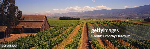 vineyard with classic barns, mountains beyond - california vineyard stock pictures, royalty-free photos & images