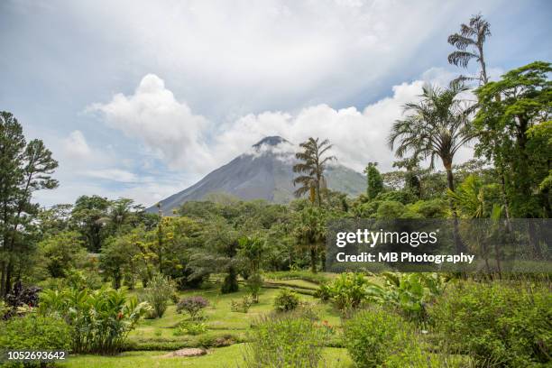 arenal volcano - la fortuna stock pictures, royalty-free photos & images