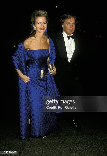 Robert Trump and Blaine Trump during Wedding Reception For Jonathan Tisch & Laura Steinberg at Metropolitan Museum of Art in New York City, New York,...