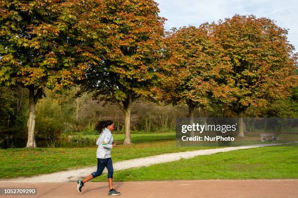 Picture taken on October 21st 2018 in The Netherlands Country. During the Autumn season, the landscape in The Netherlands is flooded with green,...