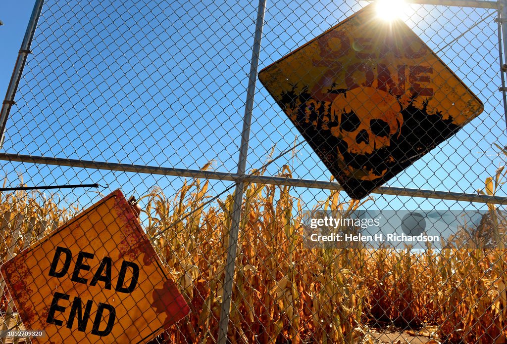 The gates near the entrance to the corn maze entice people inside at
