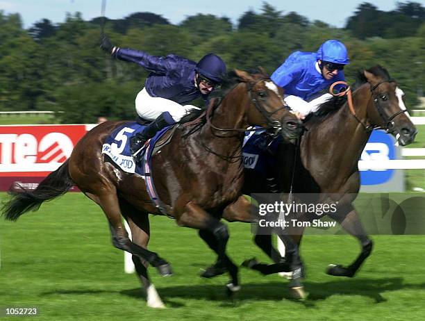 Galileo ridden by Mick Kinane of Ireland is pipped to the post by Fantastic Light ridden by Frankie Dettori in the 4.05 Irish Champion Stakes at...