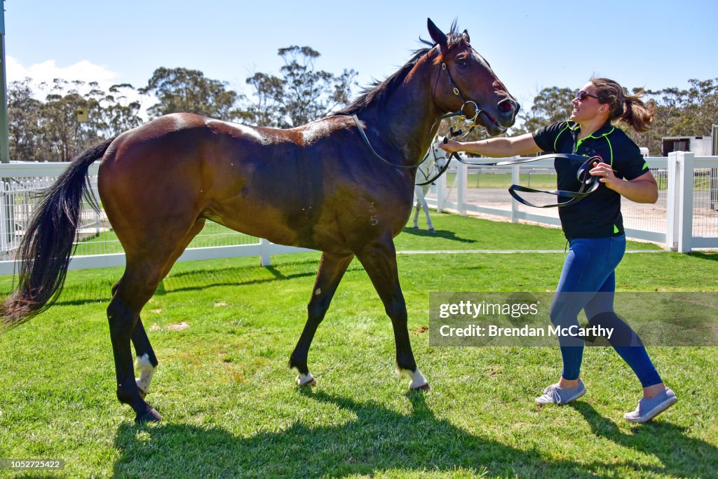 Stawell Grampians Gate Caravan Park Maiden Plate