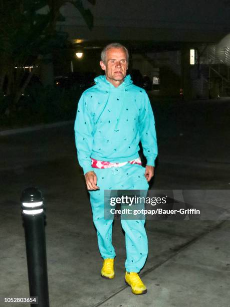 Flea is seen on October 22, 2018 in Los Angeles, California.