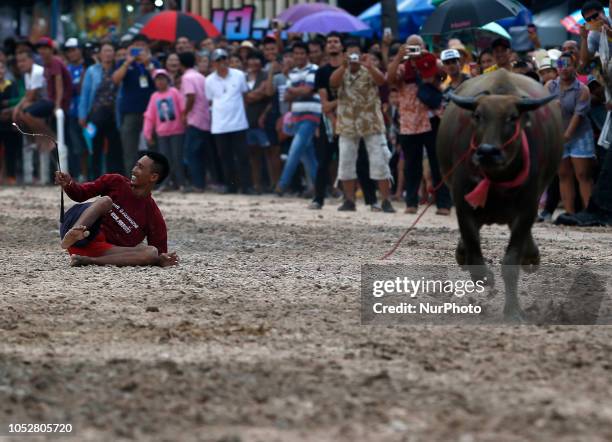 Jockey falls off a water buffalo during Chonburi's annual buffalo race festival in Chonburi province, east of Bangkok on October 23, 2018. The event,...