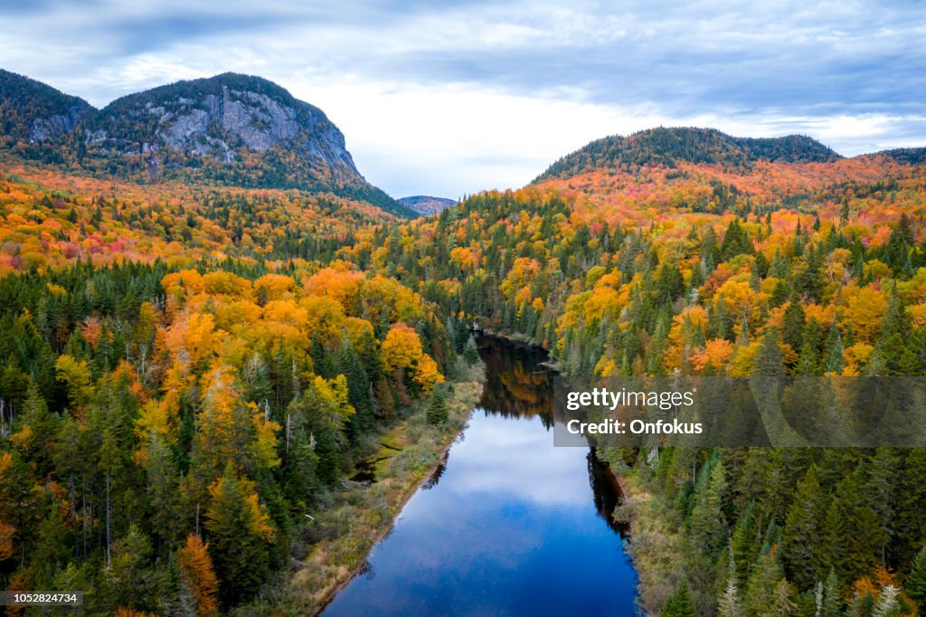 Vista aérea de la naturaleza Bosque Boreal en otoño, Quebec, Canadá