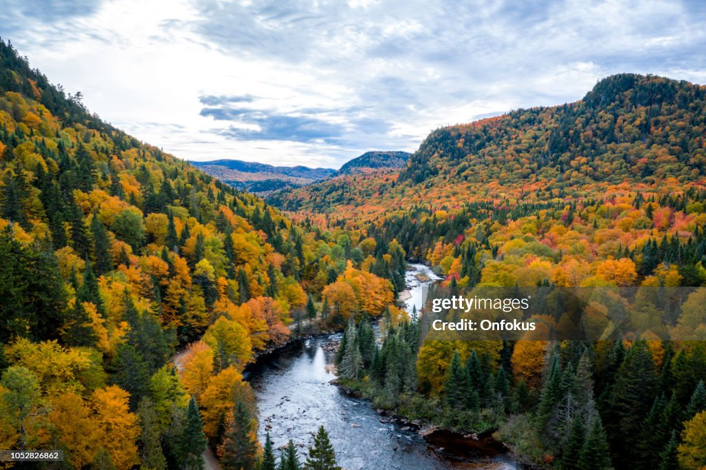 Vue aérienne de la Nature de la forêt boréale en saison d’automne, Québec, Canada