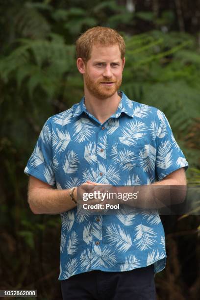 Prince Harry, The Duke of Sussex attends a dedication of the Colo-i-Suva forest to the Queen's Commonwealth Canopy on October 24, 2018 in Suva, Fiji....