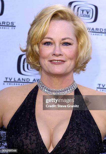 Cybill Shepherd during 2nd Annual TV Land Awards - Arrivals at The Hollywood Palladium in Hollywood, California, United States.