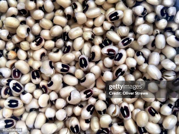 black-eyed peas - black eyed pea stock pictures, royalty-free photos & images