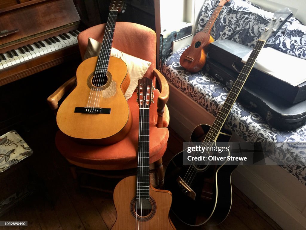 Collection of Musical Instruments