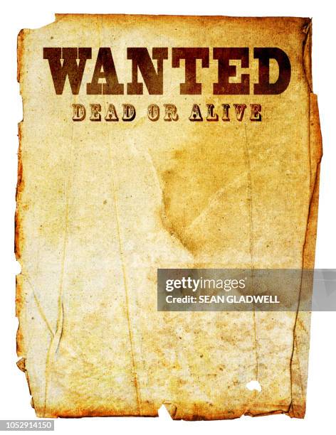 wanted dead or alive - bandit stock pictures, royalty-free photos & images