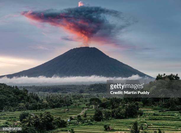 mount agung during eruption, at sunset, with rice paddies in foreground - eruption stock-fotos und bilder