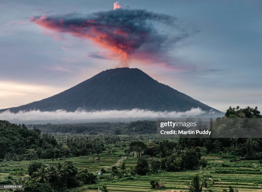 Mount Agung during eruption, at sunset, with rice paddies in foreground