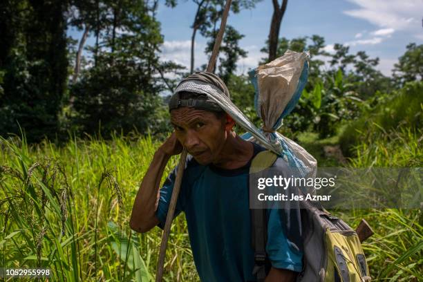 Local tribesman carrying supplies on his way to a ranger outpost on October 15, 2018 in Mansalay, Mindoro province, Philippines. The Tamaraw is one...