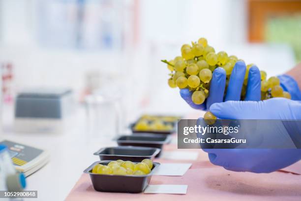 Lab Picker Testing Lab Picker Photos and Premium High Res Pictures - Getty Images
