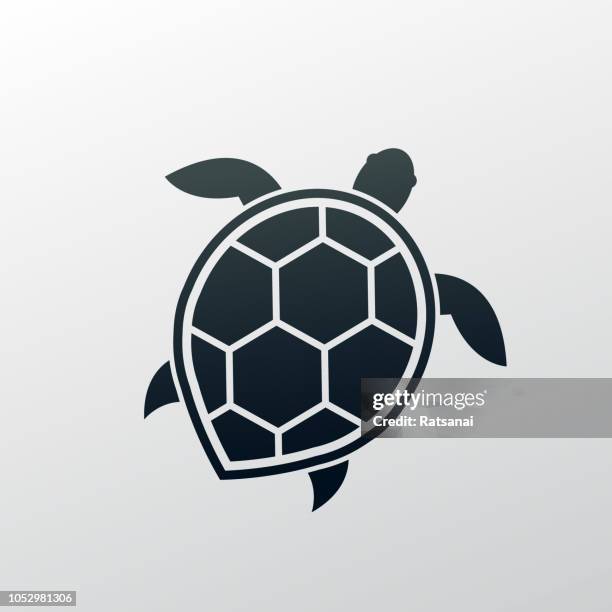 sea turtle - turtle stock illustrations