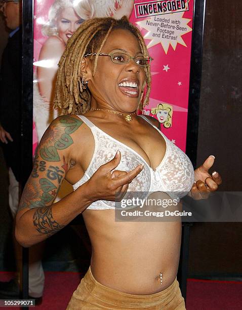 Debra Wilson during "The Anna Nicole Smith Show: Season One" DVD Launch Party at Ivar in Hollywood, California, United States.