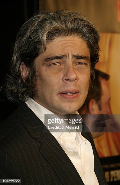 Benicio Del Toro during "21 Grams" - Los Angeles Premiere at Academy Of Motion Pictures in Beverly Hills, California, United States.