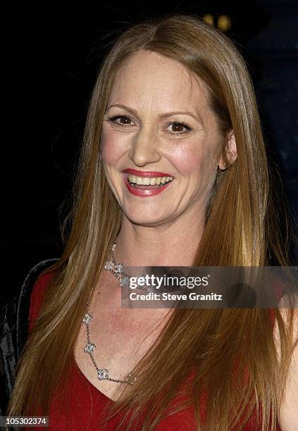 Melissa Leo during "21 Grams" Los Angeles Premiere at Academy Theatre in Beverly Hills, California, United States.