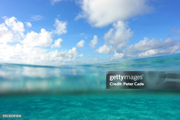 tropical sea, partial underwater view - view into land fotografías e imágenes de stock