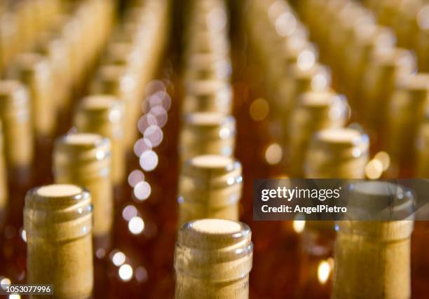 bottle rack with wine bottles in the process of maturation - lid foto e immagini stock