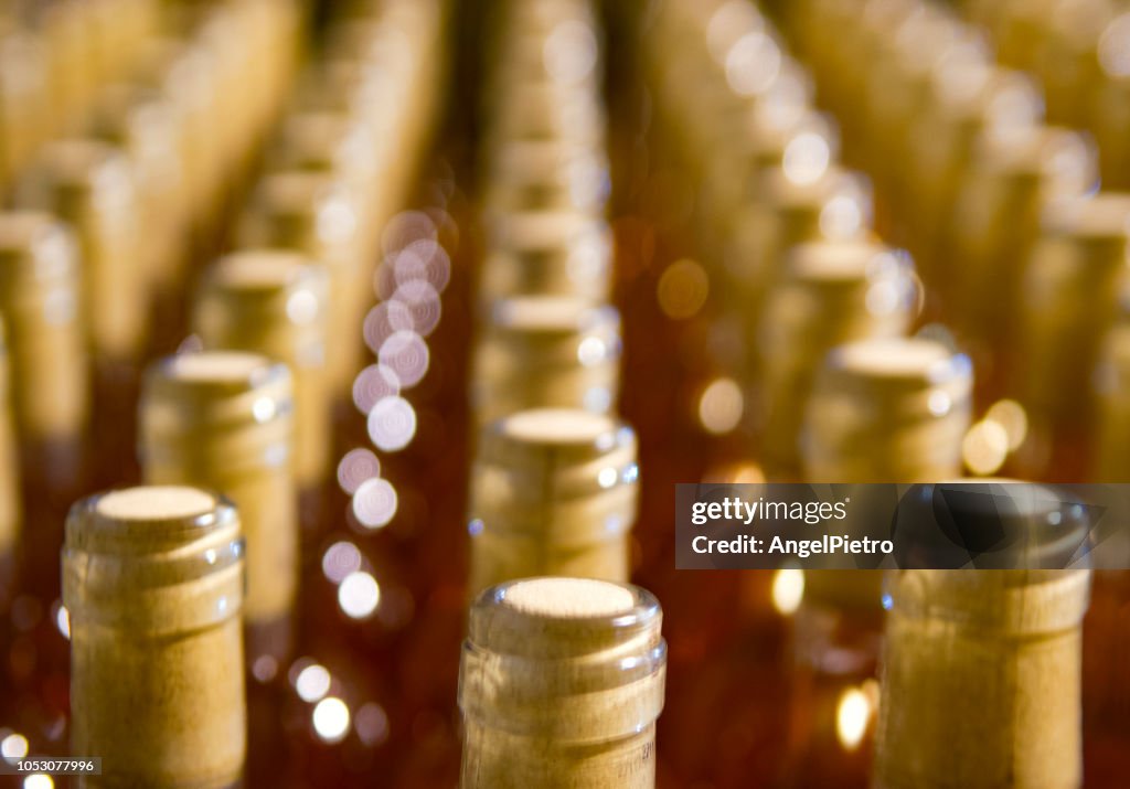 Bottle rack with wine bottles in the process of maturation